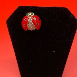 🛍Lucky ladybug pin